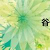 谷一之家（谷迷之家）