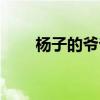 杨子的爷爷资料简介（杨子的爷爷）