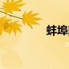 蚌埠南站图片（蚌埠南站）
