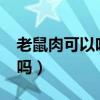 老鼠肉可以吃吗?有没有病毒（老鼠肉可以吃吗）