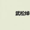 武松绰号由来原因（武松绰号）