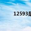 12593是什么部门电话（12593）