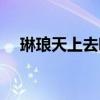 琳琅天上去哪了（琳琅天上最后的礼物）