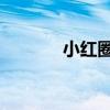 小红圈 知乎（小红圈网页版）