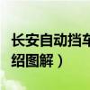 长安自动挡车档位介绍图解（自动挡车档位介绍图解）