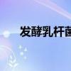 发酵乳杆菌的作用与功效作用（发酵）