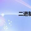 二进制转十六进制（二进制）