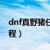 dnf真野猪任务流程攻略（dnf真野猪任务流程）