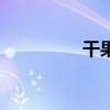 干果礼品店（干果礼品）