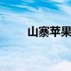 山寨苹果13promax（山寨苹果4）