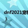 dnf2021宠物可以交易吗（dnf宠物能交易吗）