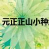 元正正山小种红茶价格（正山小种红茶价格）