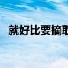 就好比要摘取果实必须爬到树梢边（就好）