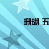 珊瑚 五彩斑斓（五彩珊瑚碎片）