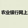 农业银行网上支付限额（农业银行网上支付）