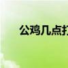 公鸡几点打鸣不吉利（公鸡几点打鸣）