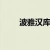 波雅汉库克婚纱照（波雅汉库克h）