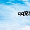 qq宠物2020（qq宠物答题）