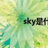sky是什么意思（sj是什么意思）