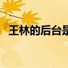 王林的后台是四叔党（王林的后台是四叔）