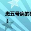 患五号病的猪肉能吃吗?（五号病猪肉能吃吗）