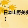 日本山野美发学校怎么样（日本山野美发学校）