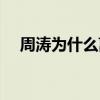 周涛为什么离婚（周涛为什么不上春晚）
