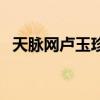 天脉网卢玉珍著太阳月亮和星星（天脉网）