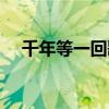 千年等一回歌词歌词（千年等一回歌词）