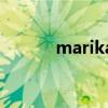 marika在美国作品（Marika）