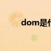 dom是什么意思啊（什么意思啊）