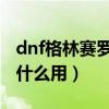 dnf格林赛罗斯的果实（格林赛罗斯的果核有什么用）