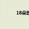 18朵玫瑰花花语（18朵玫瑰）