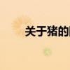 关于猪的网名大全（关于猪的网名）