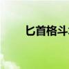 匕首格斗术实战演示（匕首格斗术）