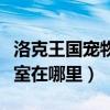 洛克王国宠物训练营在哪（洛克王国宠物训练室在哪里）