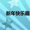 新年快乐藏头诗七言（新年快乐藏头诗）