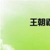 王朝霸域吧（王朝霸域小乔）
