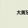 大黄牙是什么原因（大黄牙）