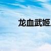 龙血武姬皮肤排名（龙血武姬皮肤）