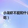 小龙虾不能和什么一起吃食物相克（小龙虾不能和什么一起吃）