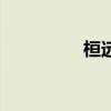 桓远喜欢楚玉吗（桓远）