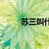 苏三叫什么名字（苏三在哪个yy）