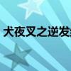 犬夜叉之逆发结罗网盘（犬夜叉之逆发结罗）