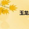 玉龙血脉在哪（玉龙血脉）