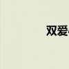 双爱心的符号（心的符号）