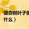 银杏树叶子像什么造句二年级（银杏树叶子像什么）