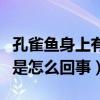 孔雀鱼身上有白点是怎么回事（鱼身上有白点是怎么回事）