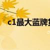 c1最大蓝牌货车图片（c照可以开什么车）