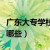 广东大专学校有哪些好学校（广东大专学校有哪些）
